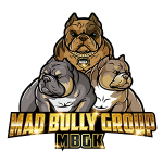 logo mad bully