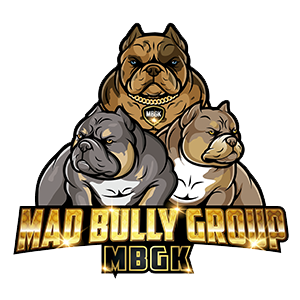 logo mad bully